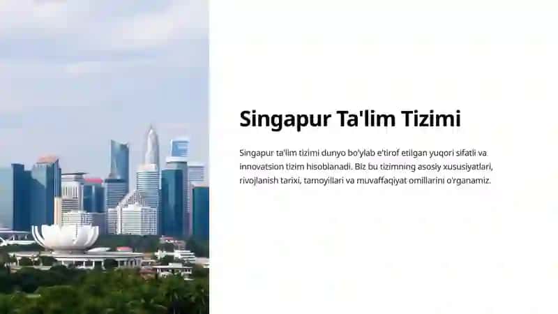 Singapur Ta'lim Tizimi 2