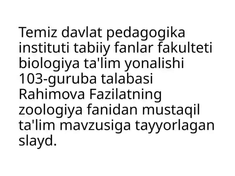 Molluskalar tipi(molusca) 2
