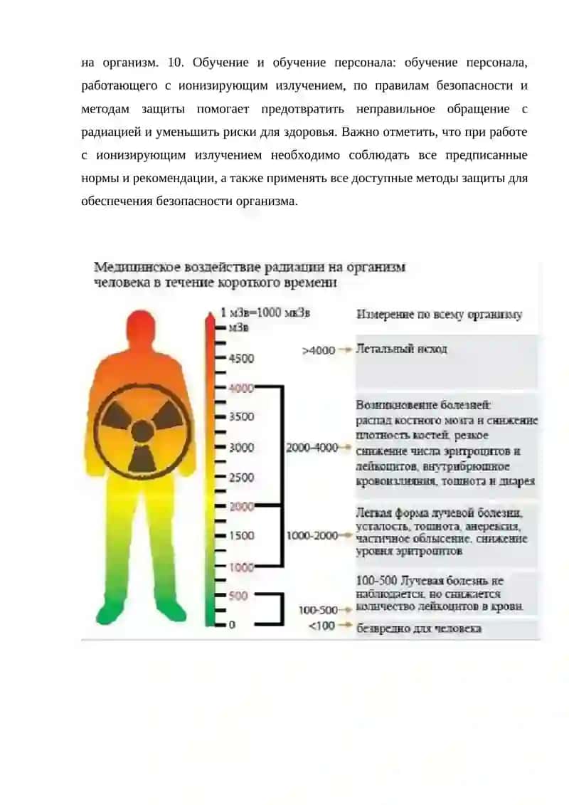 Правильное питание: некоторые продукты питания 2