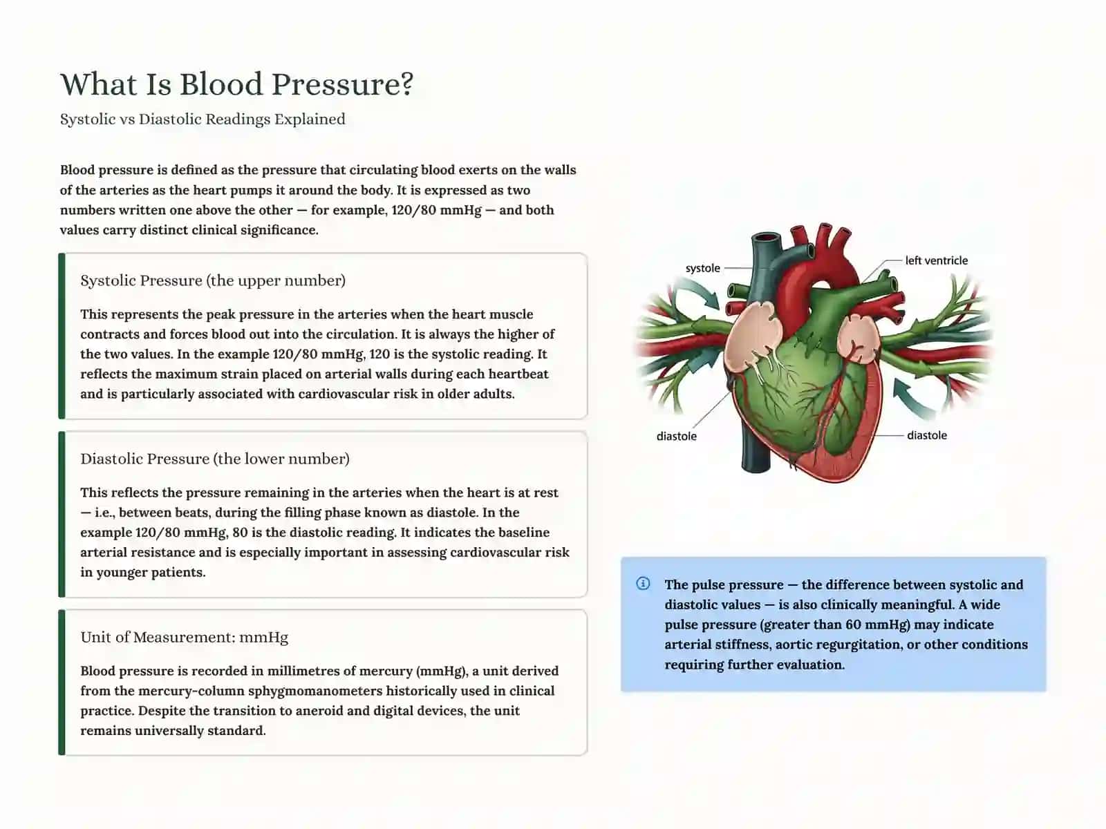 Blood Pressure Measurement: Understanding the Basics 2