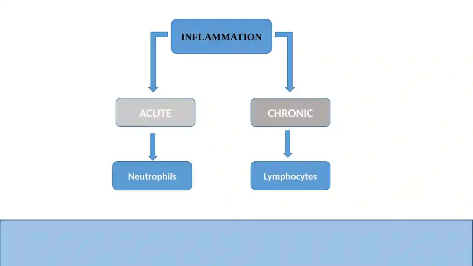 Inflammation 2