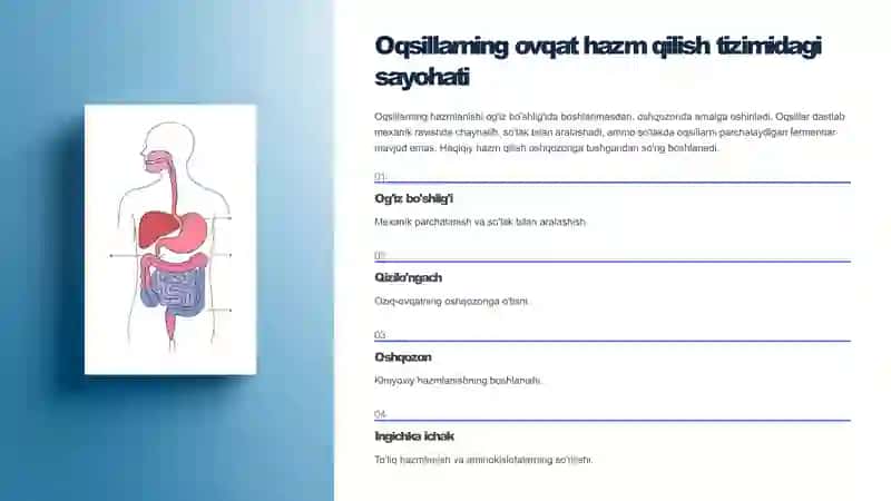 Oqsillarning hazmlanishi biokimyosi, aminokislotalarning so'rilishi vа
to'qimalararo taqsimlanishi. 2
