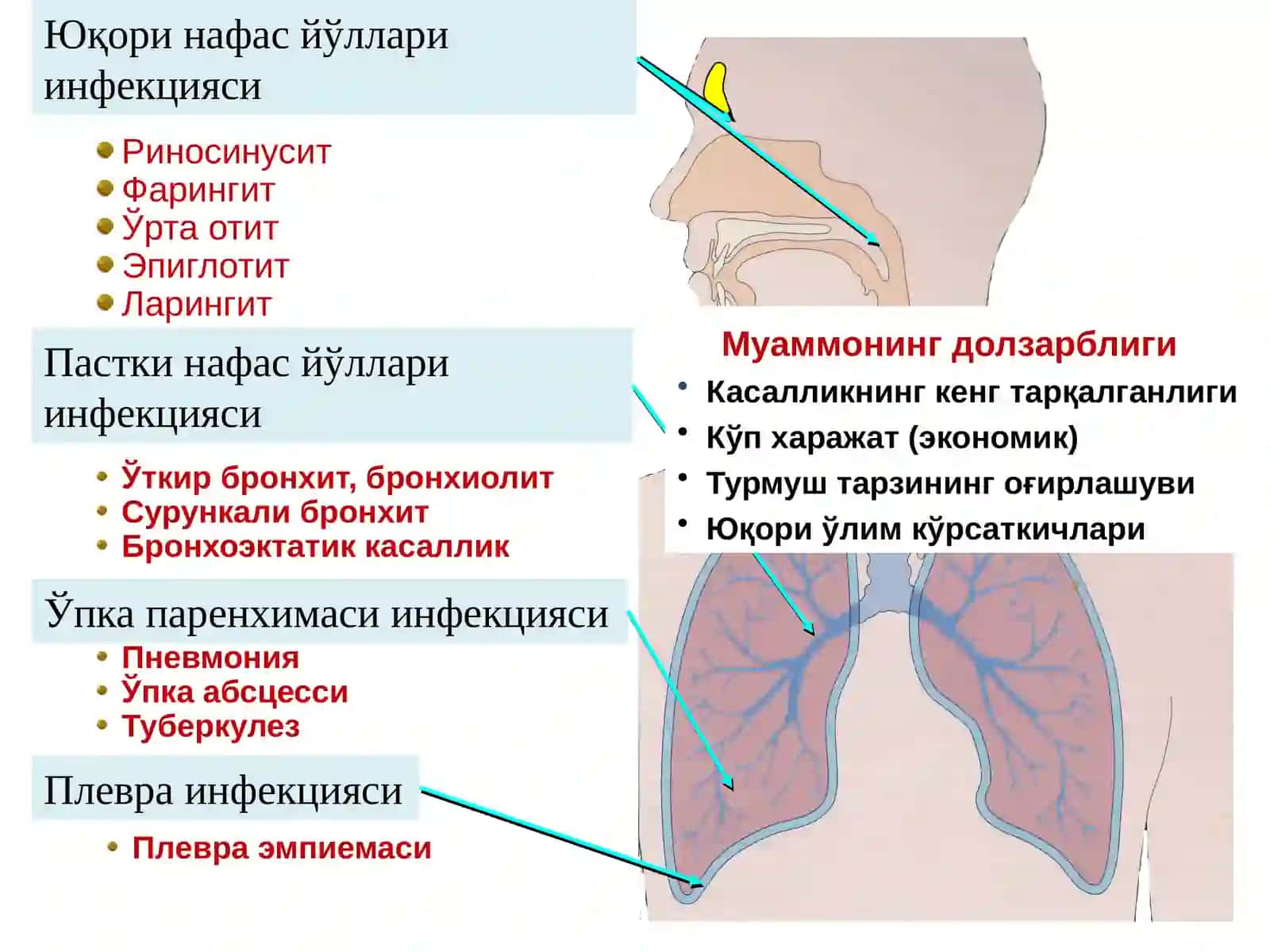 БОЛАЛАРДА ПНЕВМОНИЯ 2