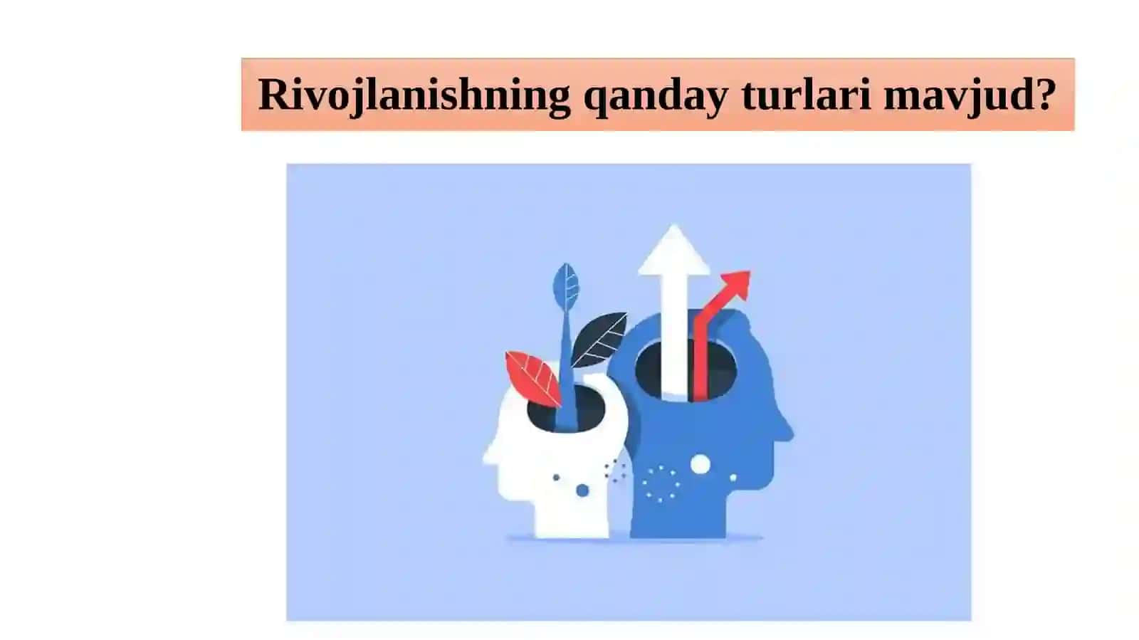Shaxsiy va kasbiy rivojlanish: maqsad va rejalar 2