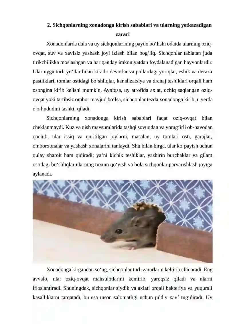 Xonadonlarda dala va uy sichqonlariga qarshi kurashish 2
