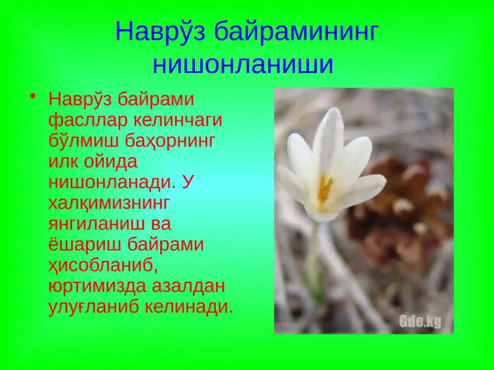 Наврўз – умумхалқ байрами!!! 2