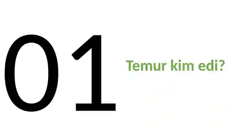 TEMURIYLAR DAVRIDAMADANIYAT VA SAN'AT RIVOJI 2