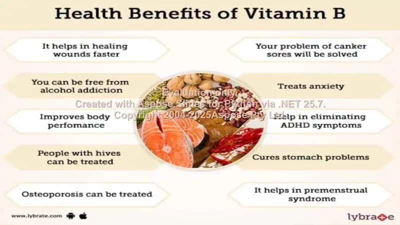 Vitamin B 2