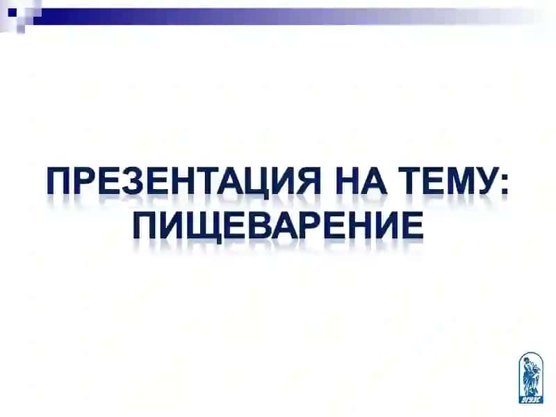 Методические материалы-презентации лекций по физиологии 2