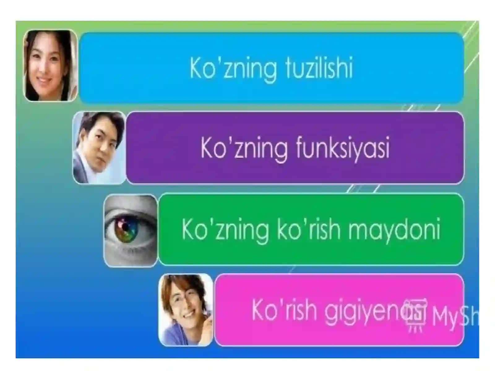 ANALIZATORLAR – KO’ZNING TUZILISHI 2
