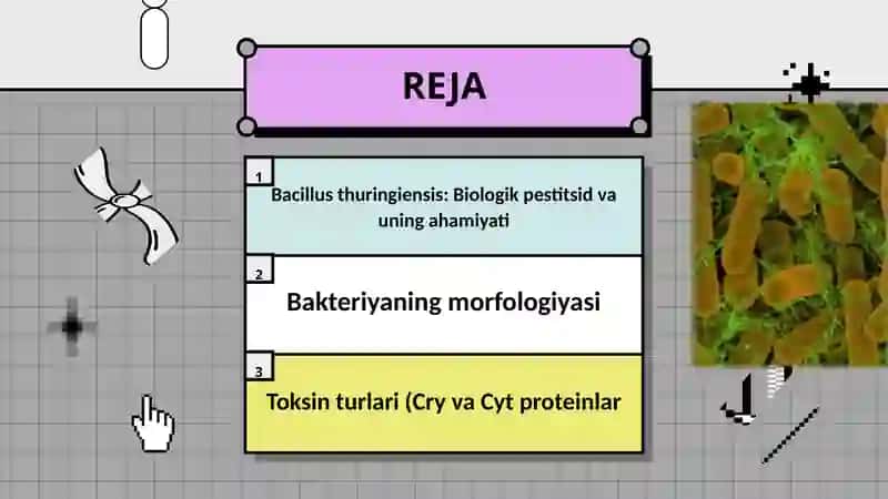 Bacillus thuringiensis 2