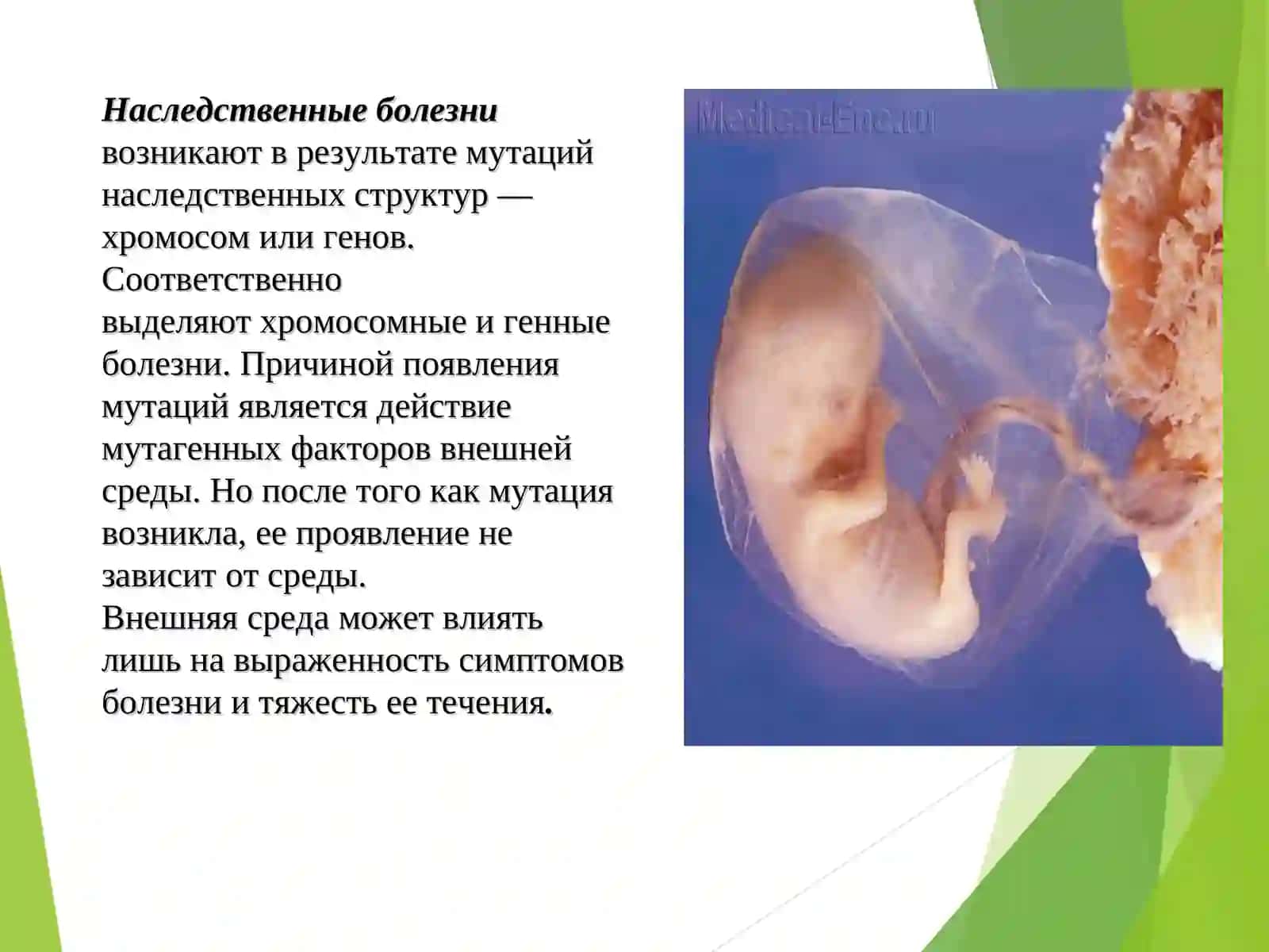 Наследственные заболевания и генетические синдромы 2