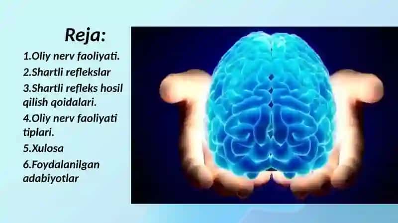 Asab tizimi oliy bo’limlarining vazifasi.Shartli reflekslar.Oliy asab faoliyati tiplari. 2