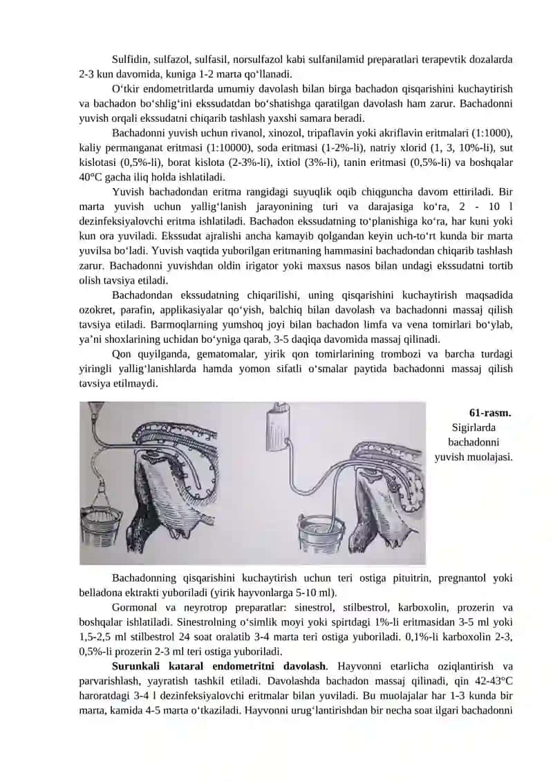 JINSIY A’ZOLARNING YALLIG‘LANISHLI XUSUSIYATLI KASALLIKLARI VA BACHADON SUBINVALYUTSIYASINI OLDINI OLISH USULLARI 2