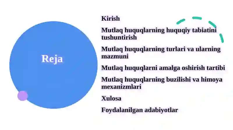 Mutlaq huquqlar va ularning amalga oshirish masalalar 2