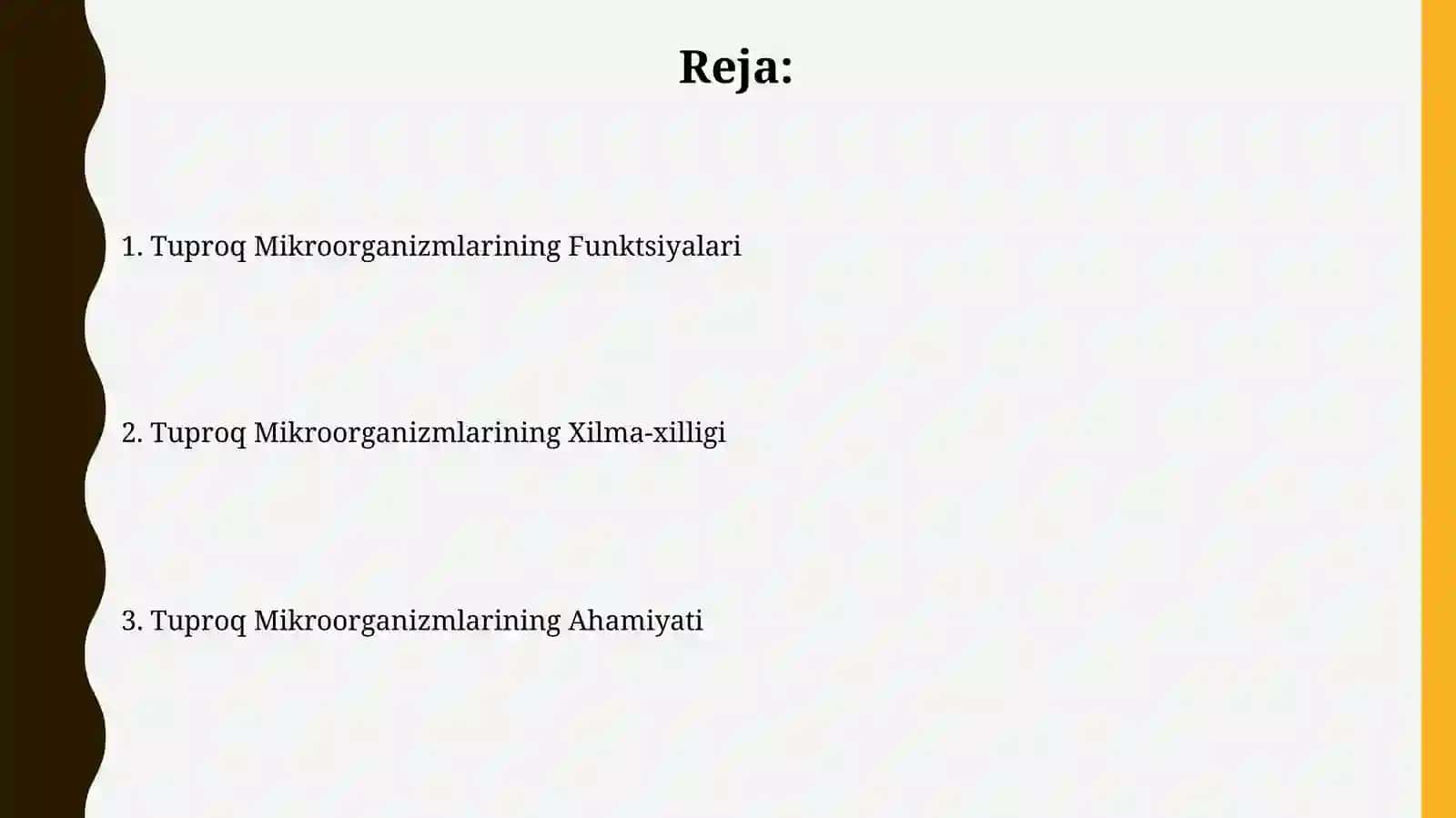 Tuproq Mikroorganizmlari 2