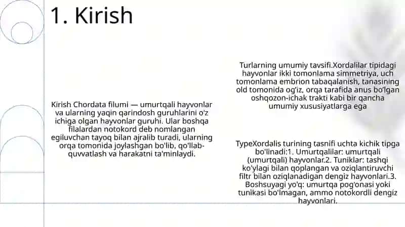 Xordalilar Tipi. Tipning Umumiy Tavsifi Va Tasnifi 2