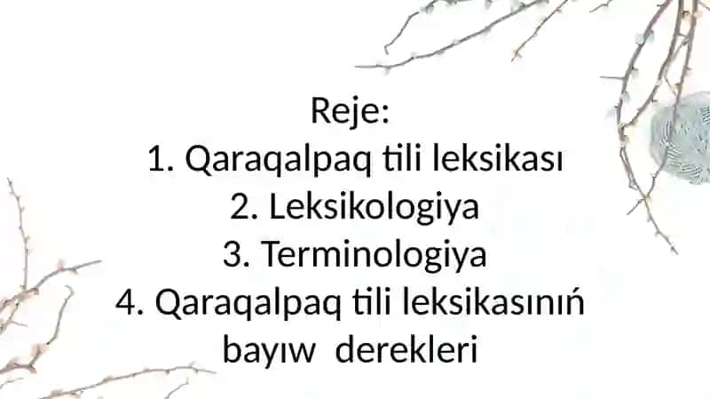 Qaraqalpaq tili leksikasining bayiw dereklari 2
