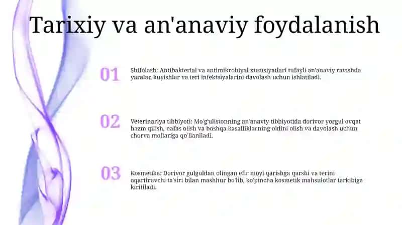 Dorivor Tirnoqgul 2