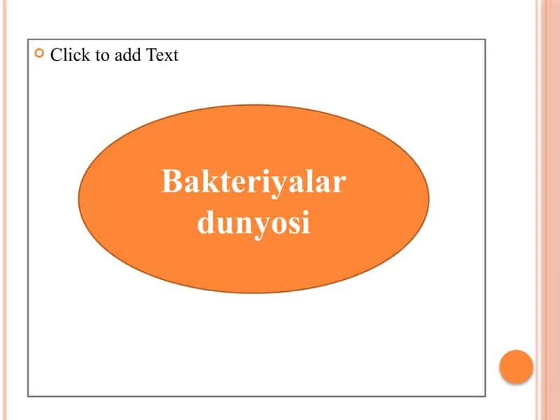 Bakteriyalar dunyosi 2