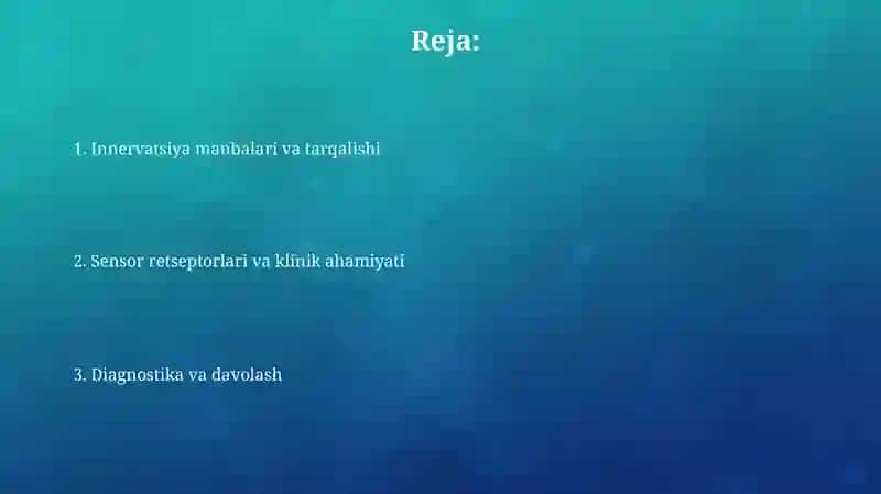 Oyoq terisini inervatsiyasi 2