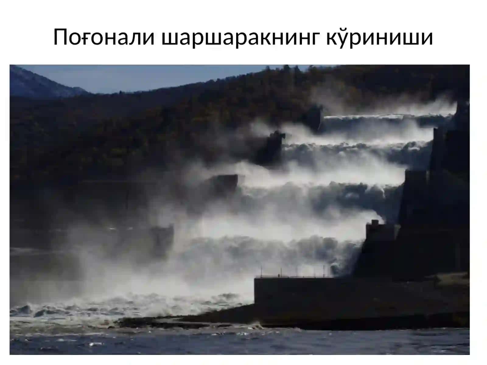 Поғонали шаршаракнинг кўриниши 2