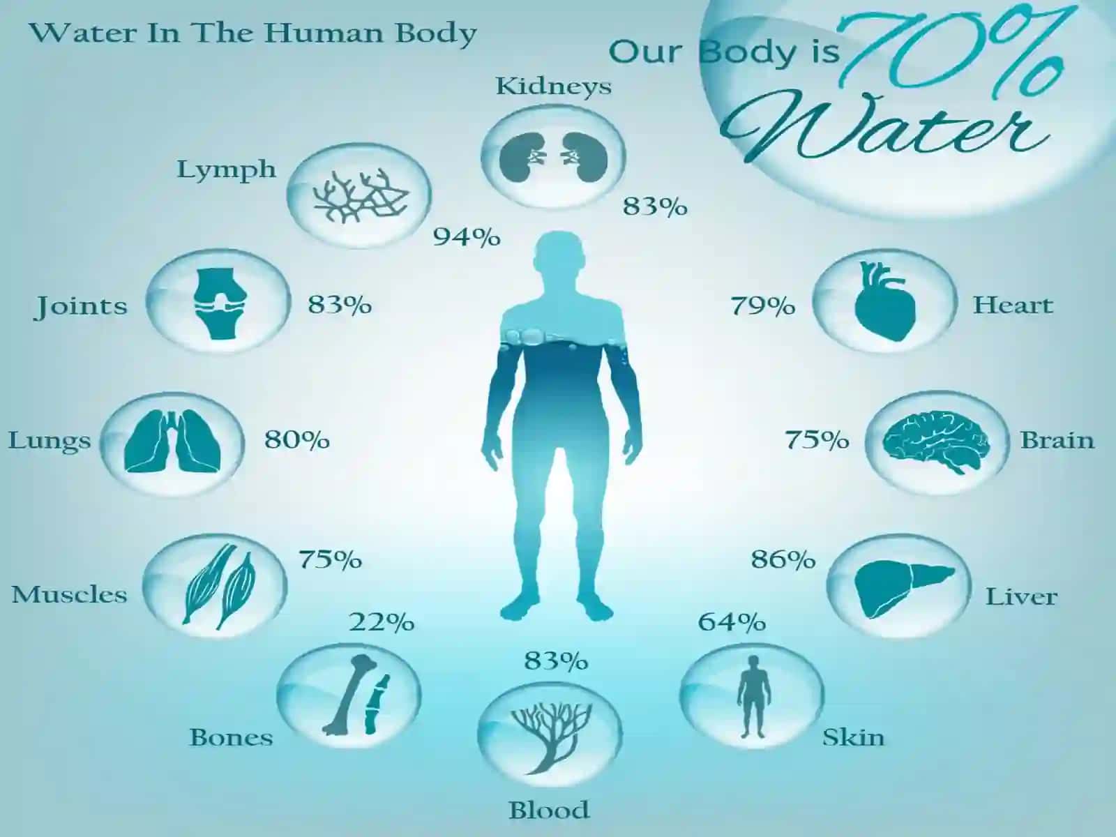 Importance of water 2