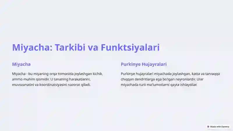 Miyacha: Neyronlararo Aloqalar va Tashqi Ta'sirlarga Reaktsiyalar 2