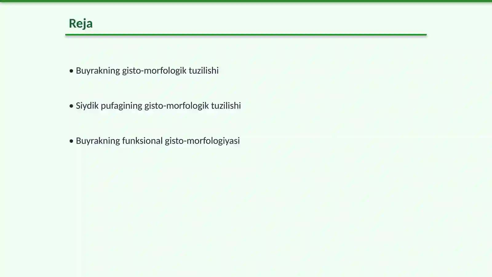 Buyrak va siydik pufagining gisto-morfologiyasi 2