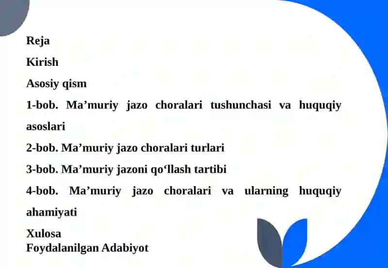 MA’MURIY JAZO CHORALARI VA ULARNING HUQUQIY AHAMIYATI 2