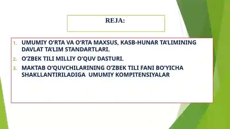 Ona tili fani bo‘yicha o‘quvchilarda kompetensiyalarni shakllantirishga yo‘naltirilgan Davlat ta’lim standartlari va o‘quv dasturlari mazmuni 2