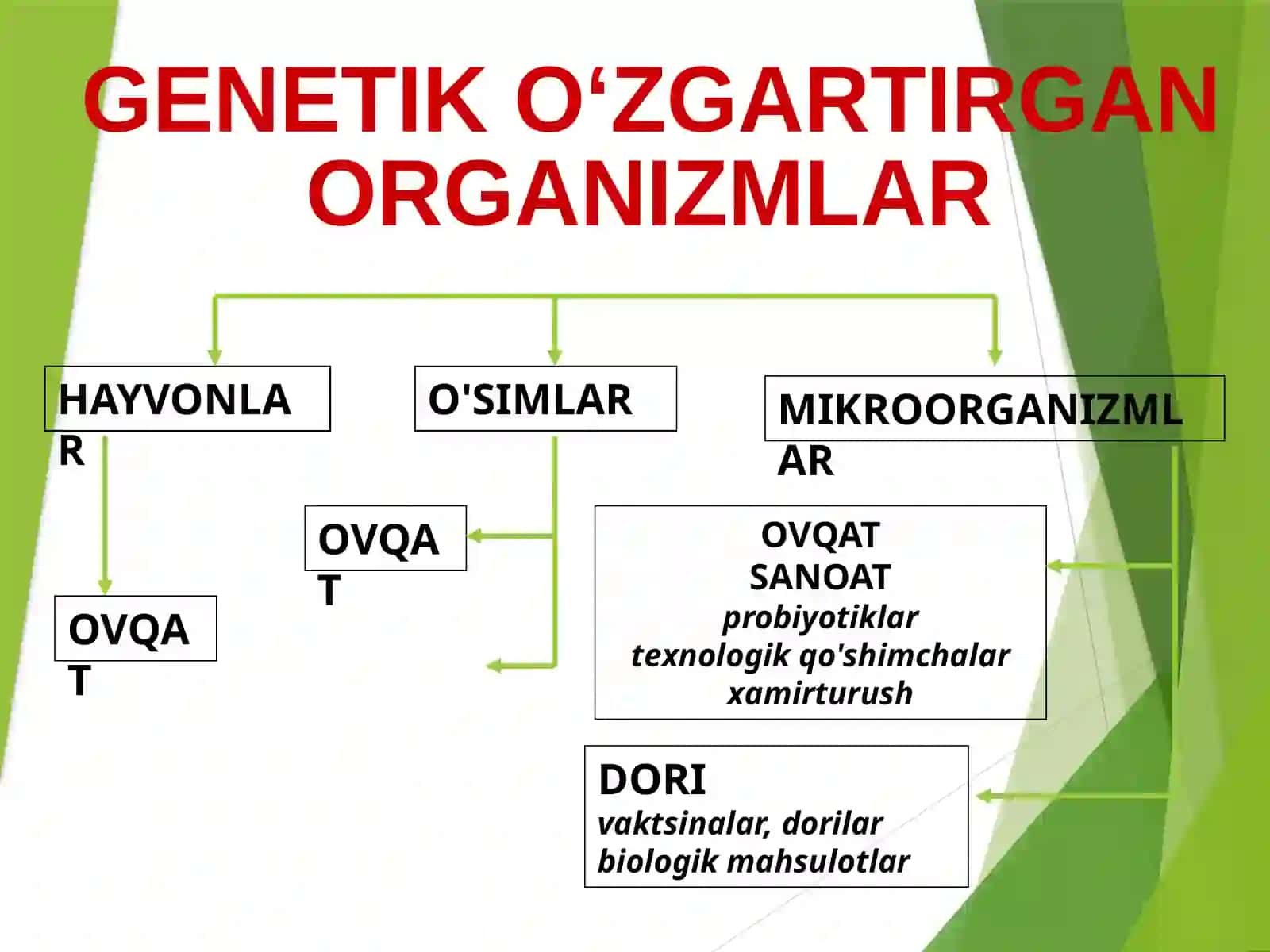 Genetik O‘zgartirgan Organizmlar 2