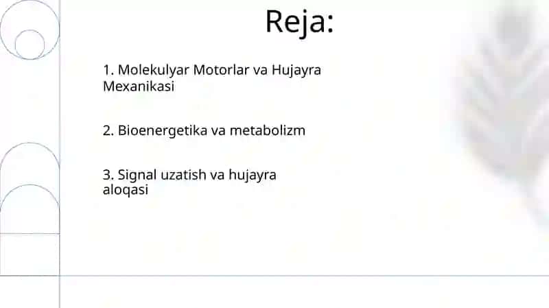 Tirik organizmlar biofizikasi 2