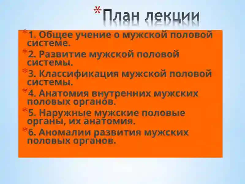 Мужское половое здоровье 2