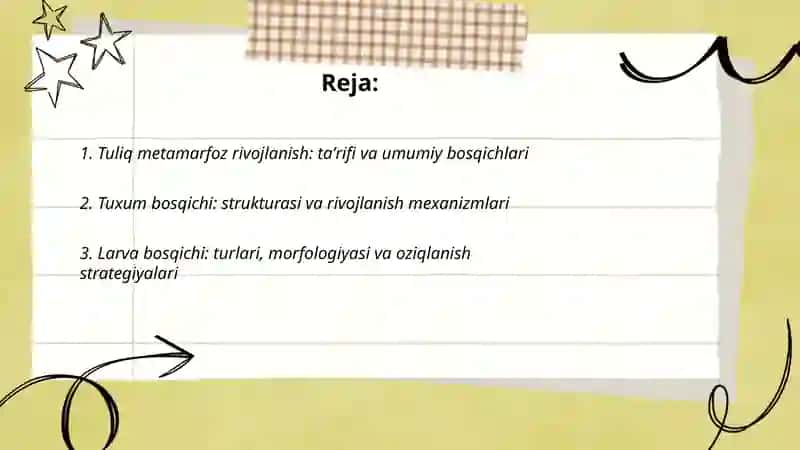 Tuliq metamarfoz rivojlanish 2