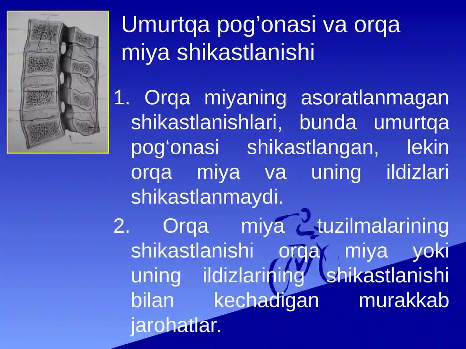 Umurtqa pog’onasi va orqa miya shikastlanishlari 2
