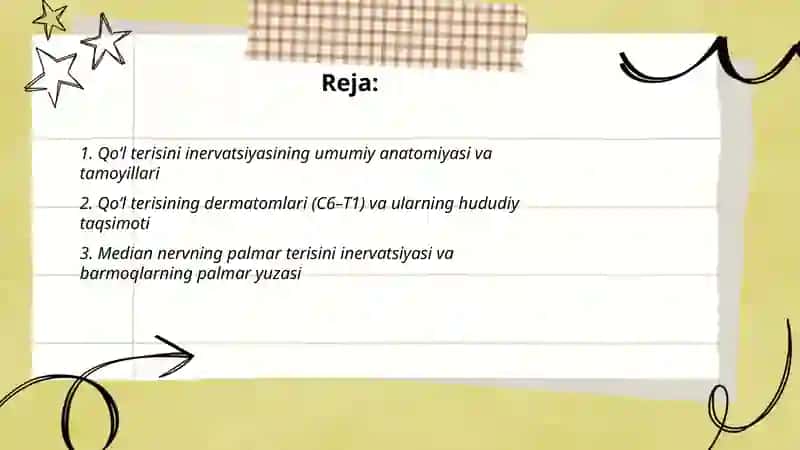 Qoʻl terisini inervatsiyasi 2