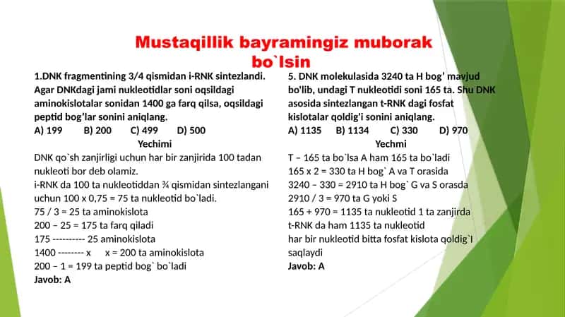 Ayrim masalalar ishlanish usullari 2