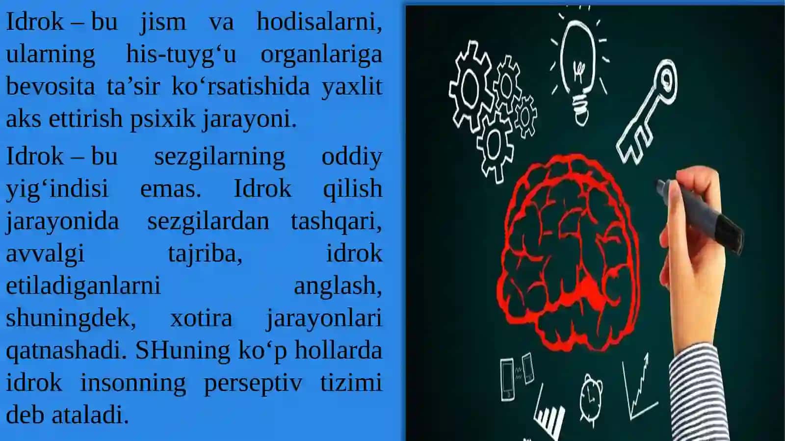 Idrok va xotira 2