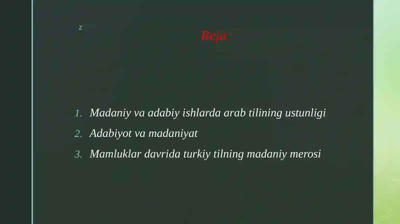 Mamluklar davrida turkiy tillar mavqeyi. 2
