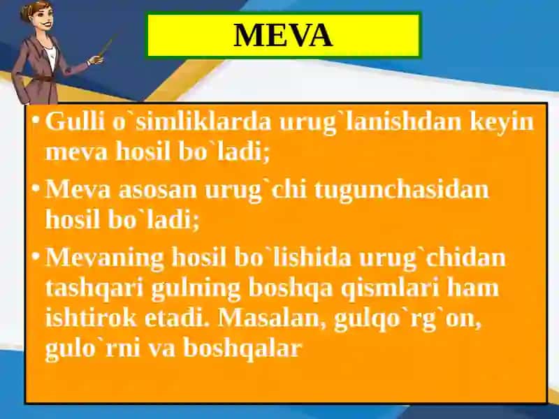 MEVA.MEVALARNING TABIATDAGI VA INSON HAYOTIDAGI AHAMIYATI 2