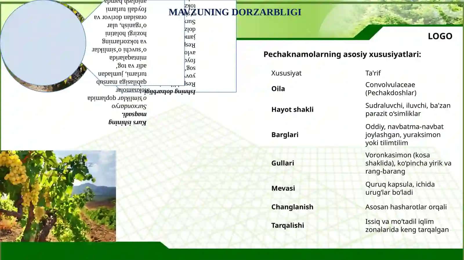 Toknamolar va Pechaknamolar  qabilasining asosiy turkumlari xususiyatlari va ahamiyati 2