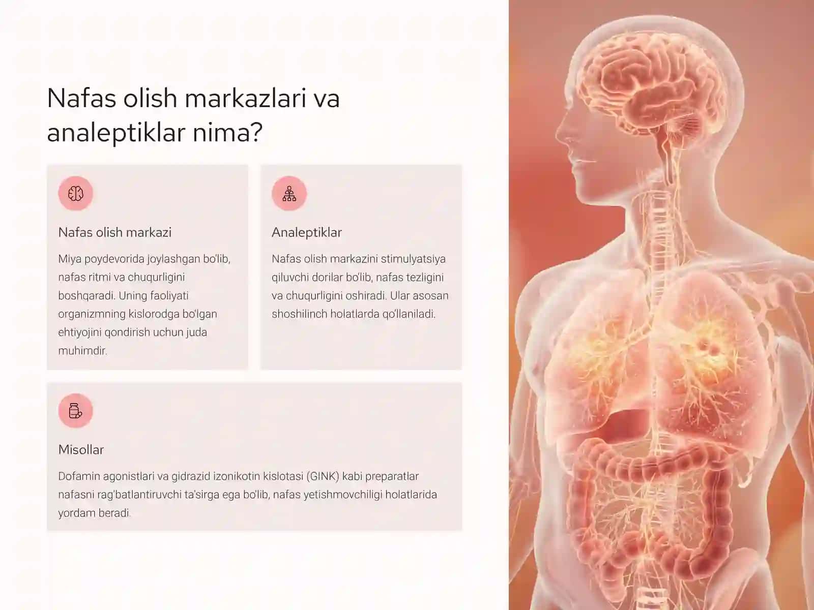 Nafas olish markazlari va Antidepressantlar Farmakokinetikasi 2