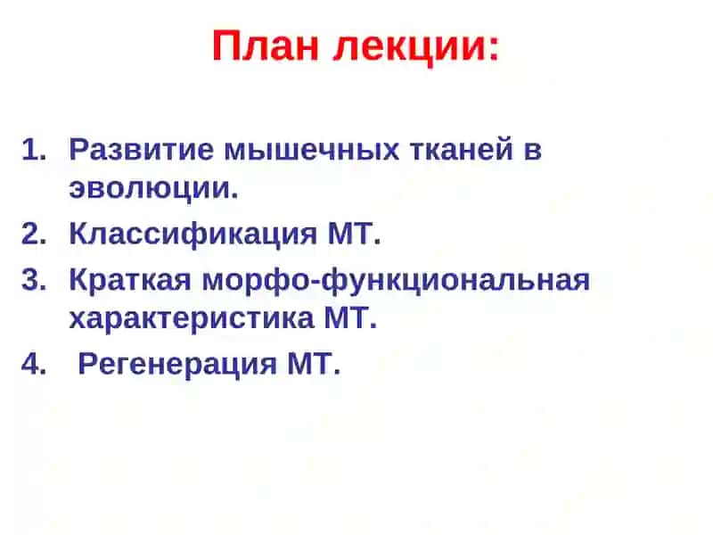 МЫШЕЧНАЯ ТКАНЬ 2