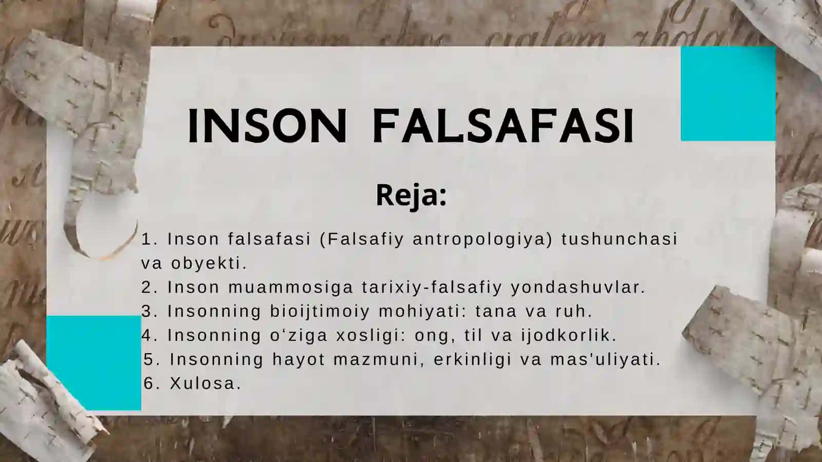 INSON FALSAFASI 2