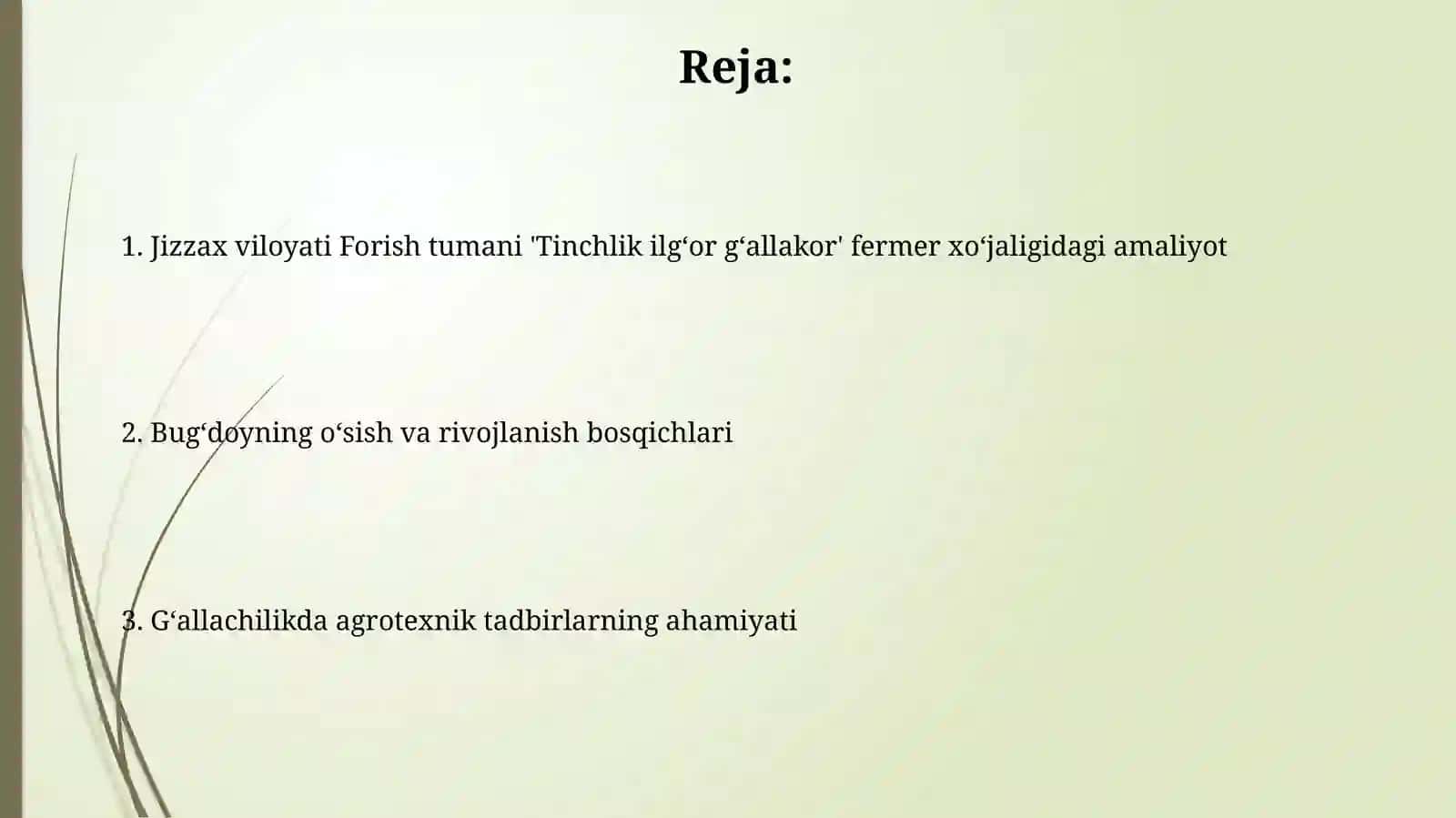 Bugʻdoyosimligining oʻsishi va rivojlanishi bosqichi 2