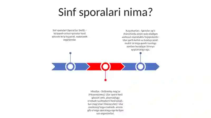 Sporalilar Sinfi 2
