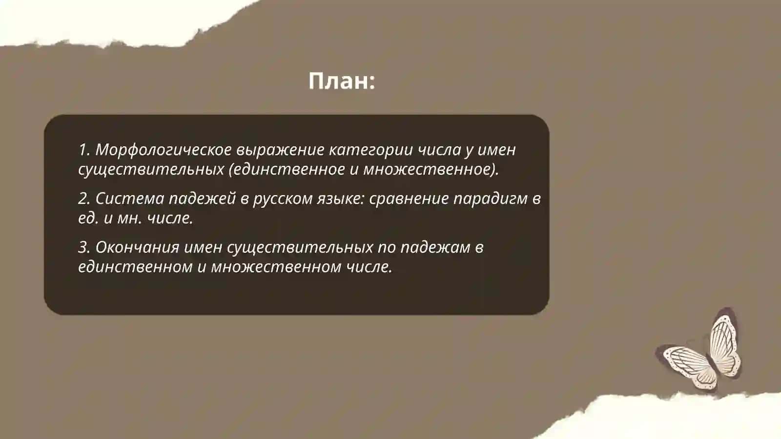 Категория числа имен существительных Категория подежа 2
