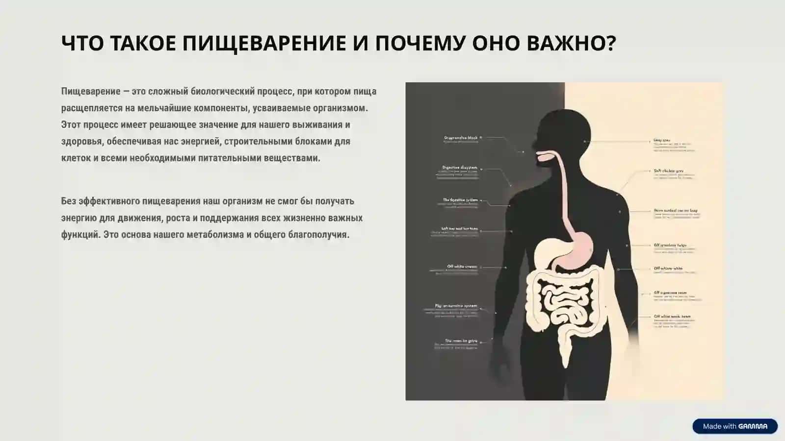 СИСТЕМА ПИЩЕВАРЕНИЯ: ПУТЕШЕСТВИЕ ЕДЫ 2