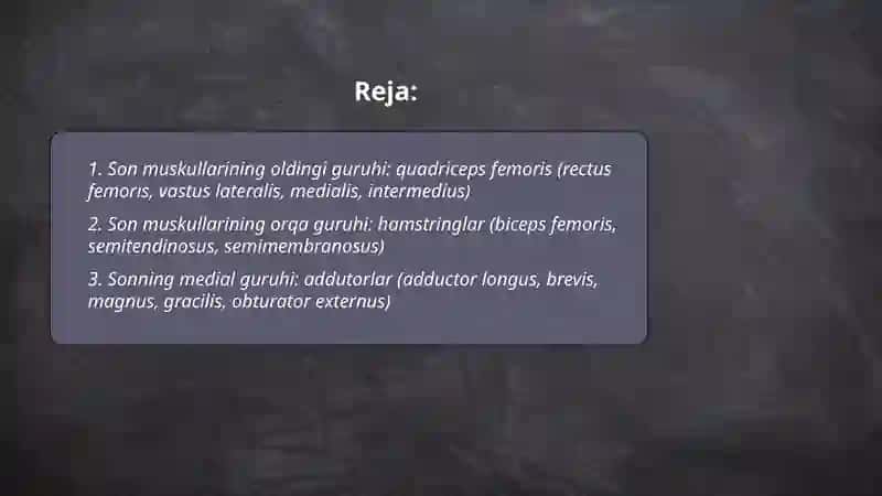 Chanoq va son mushaklari 2